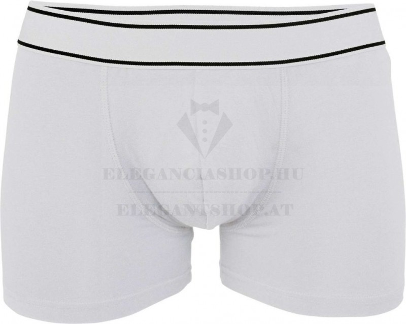 Kariban férfi boxer